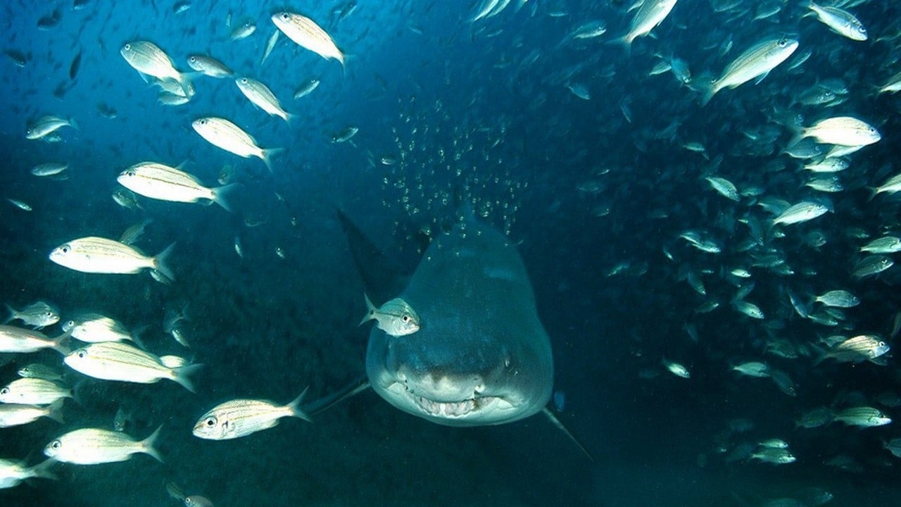 Deep Sea รีวิวหนัง